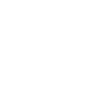 Customer Centricity