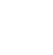 Basic Start building Analytics Culture