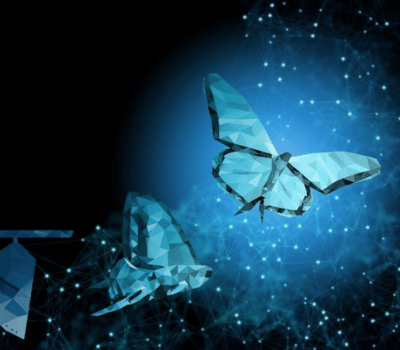 Technology Catalyst